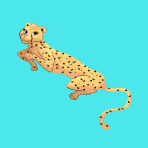 Cheetah New